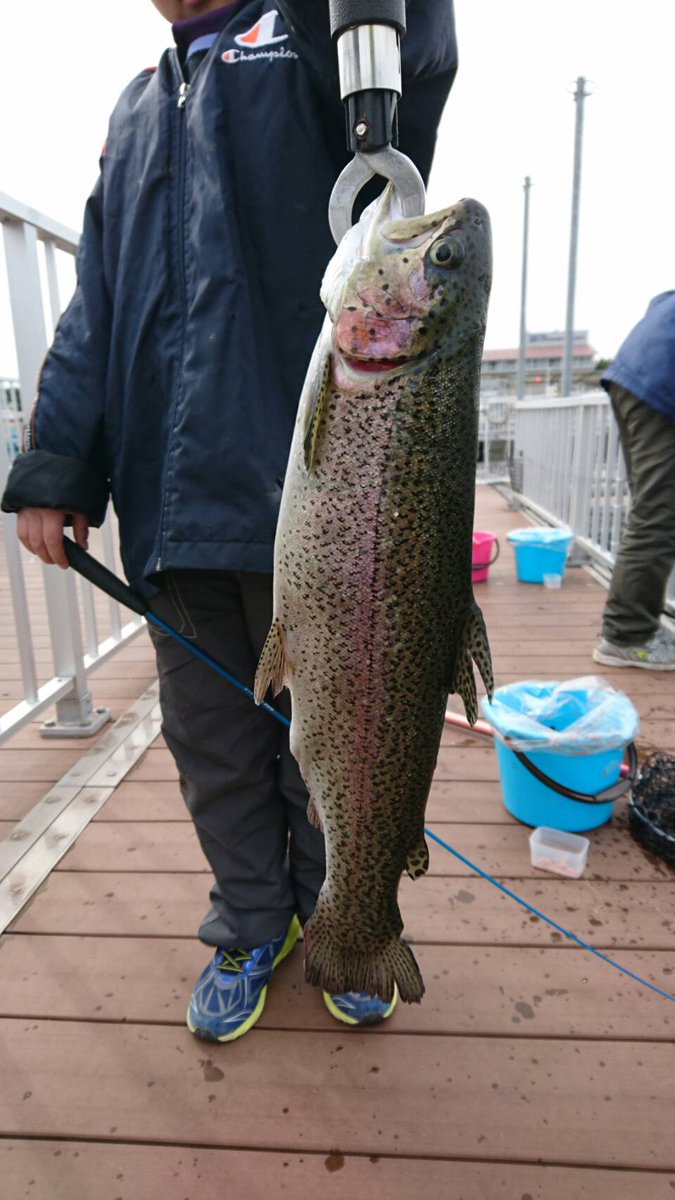 横浜 八景島シーパラダイス公式 Finalサーモン 本日からうみファームの魚釣りではギンザケの生簀に30cm以上のビッグサーモンが登場 さっそく第一号が釣れましたよ ビッグサーモンを釣りにうみファームに遊びに来てください 八景島