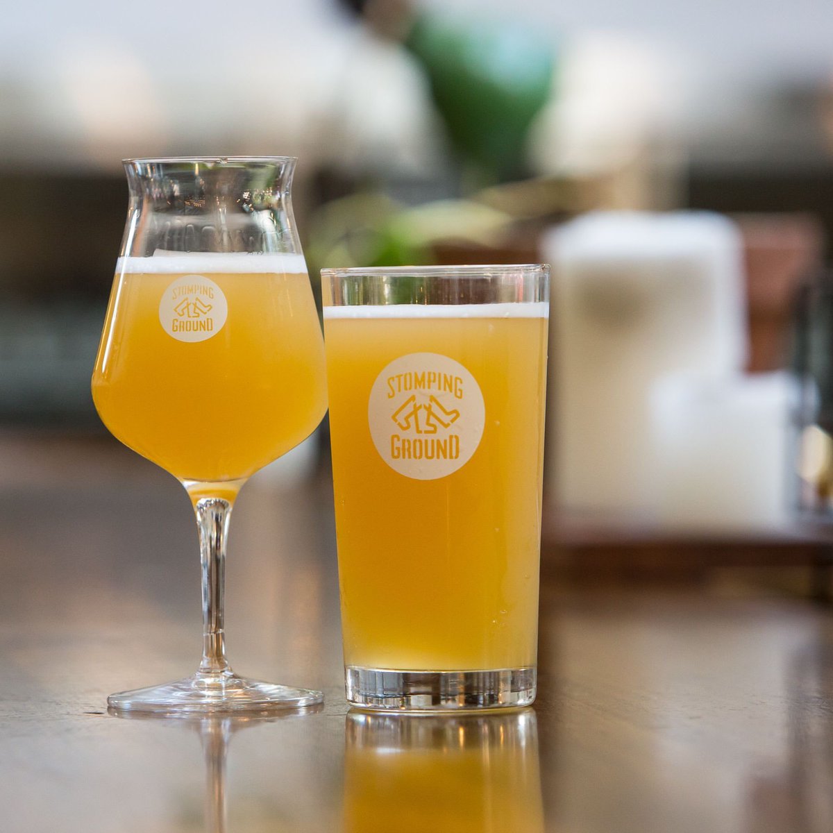 The Local Taphouse (@localtaphousedl) on Twitter photo It's #SydneyMardiGras and we've got <a href="/SGBrewCo/">Stomping Ground</a>'s Peach Witbier, #PRIDElweiss on tap, with 50c from every pot going to LGBTQIA+ communities! It's #SydneyMardiGras and we've got <a href="/SGBrewCo/">Stomping Ground</a>'s Peach Witbier, #PRIDElweiss on tap, with 50c from every pot going to LGBTQIA+ communities!
