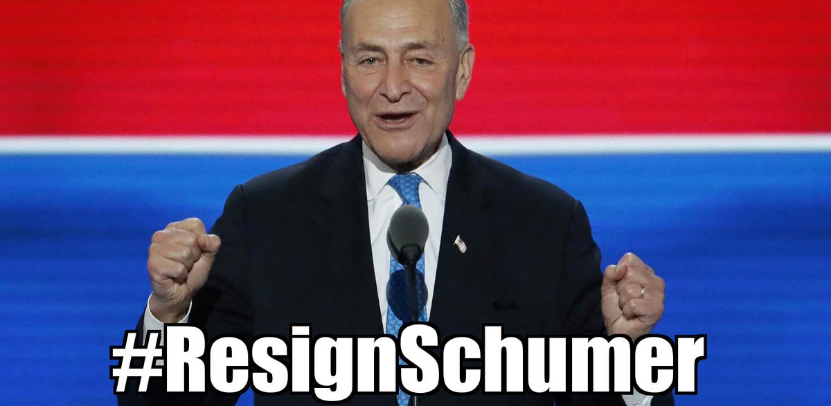 bfraser747's tweet photo. If you ask me I say #ResignSchumer You're a disgrace &amp; obstructer of EVERYTHING. You could have a bright future as a scumbag TV lawyer actor https://t.co/q4bzLfUBvx