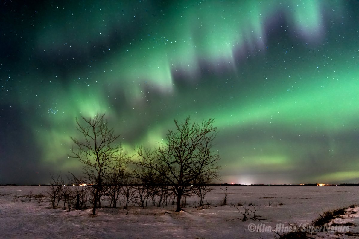 NorthLightAlert's tweet photo. Nice shot!  A little bit of "pink teeth" #aurora! from #manitoba RT @KimHinesSN Best yet this year! 3/1&amp;2/2017  https://t.co/Kq5cySlnZw https://t.co/vC8HoMRQqj