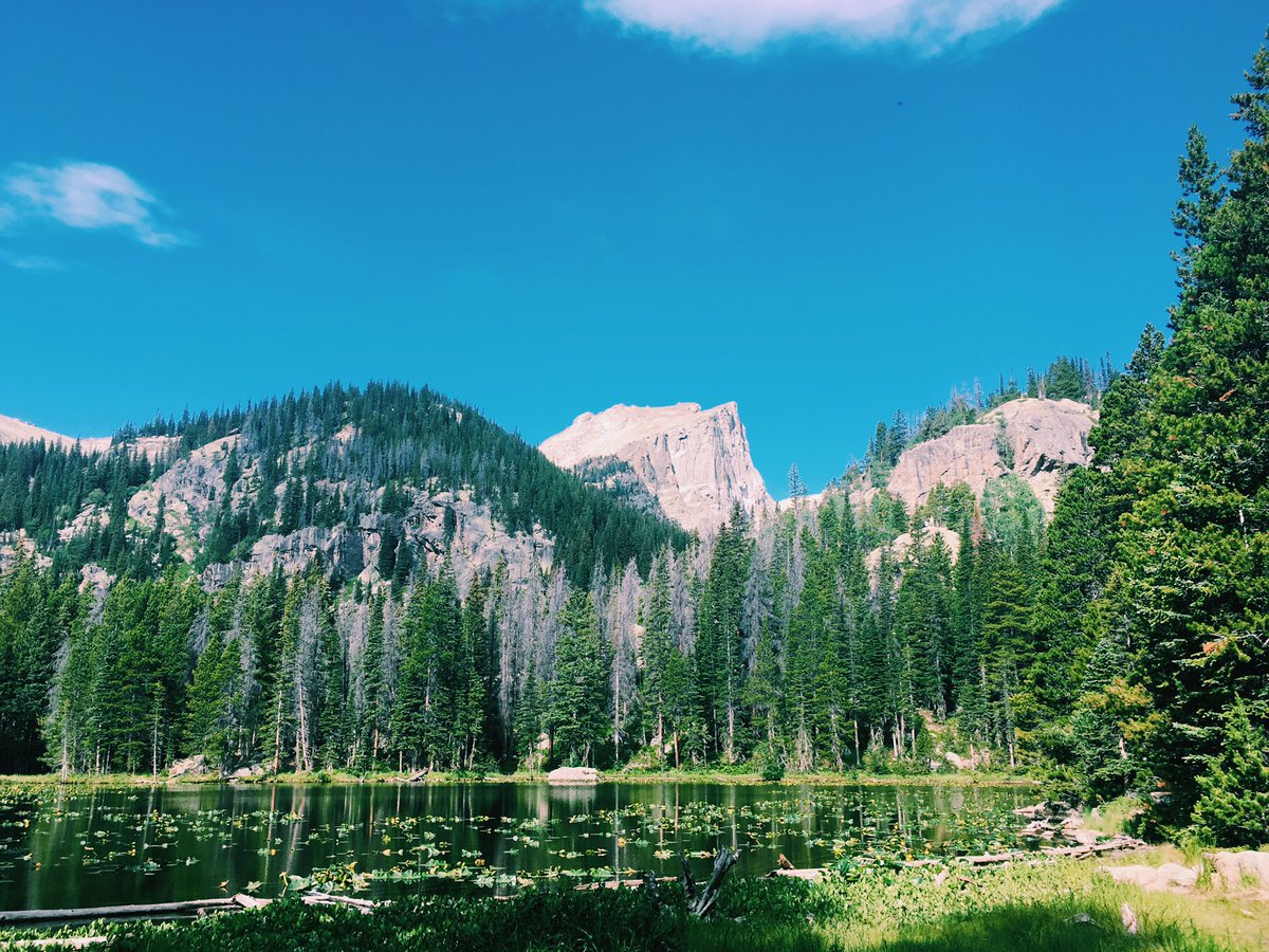 _emilyself_'s tweet photo. Happy #303Day Colorado 💙💛❤️ https://t.co/Ttfp3sWrfy