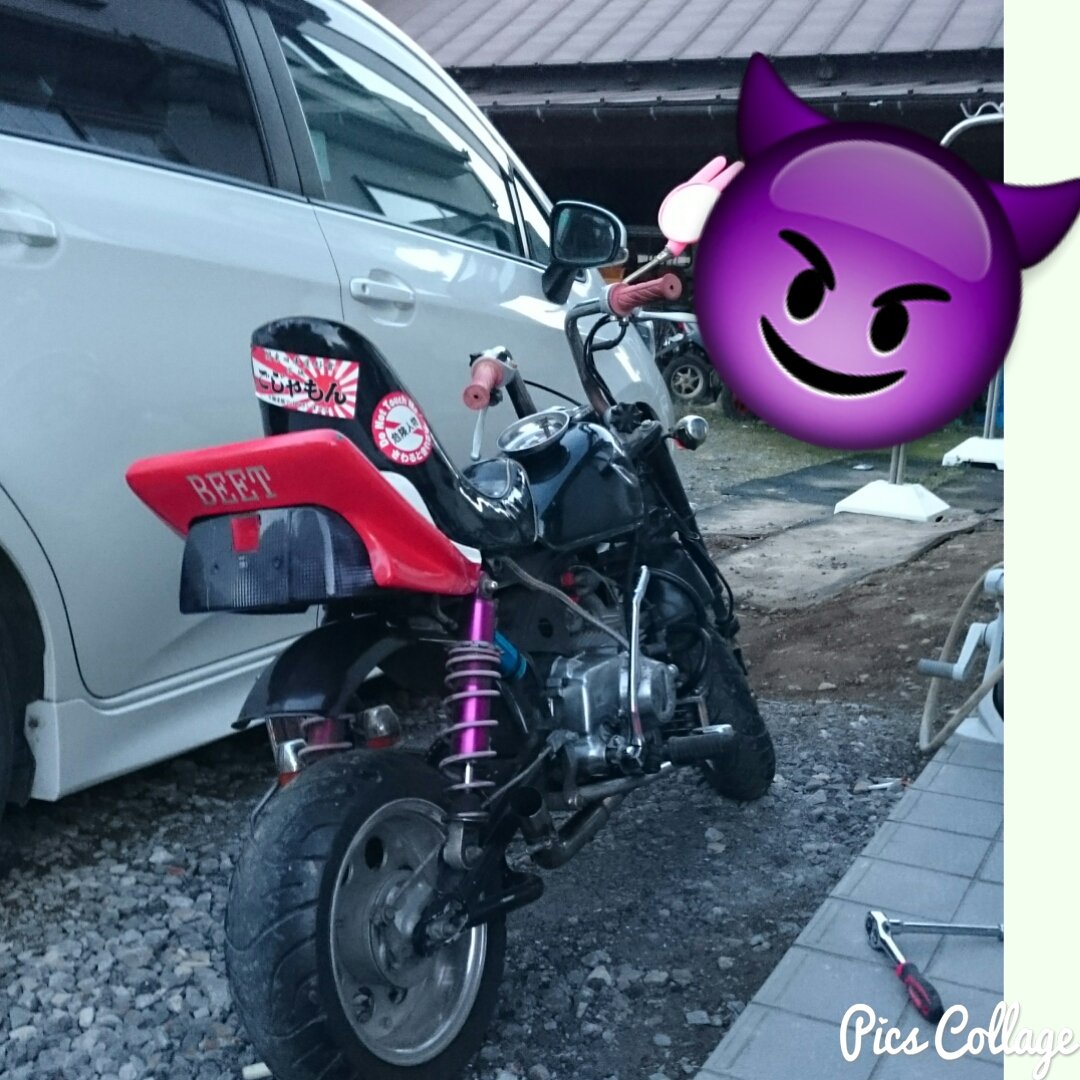 CBXテール モンキー、ゴリラ