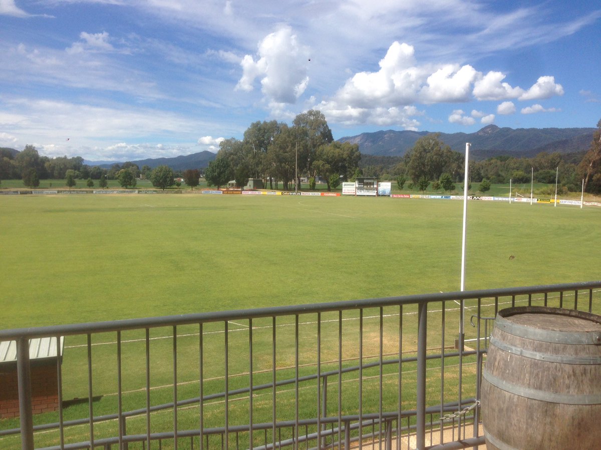 Josh Chapman tweet media