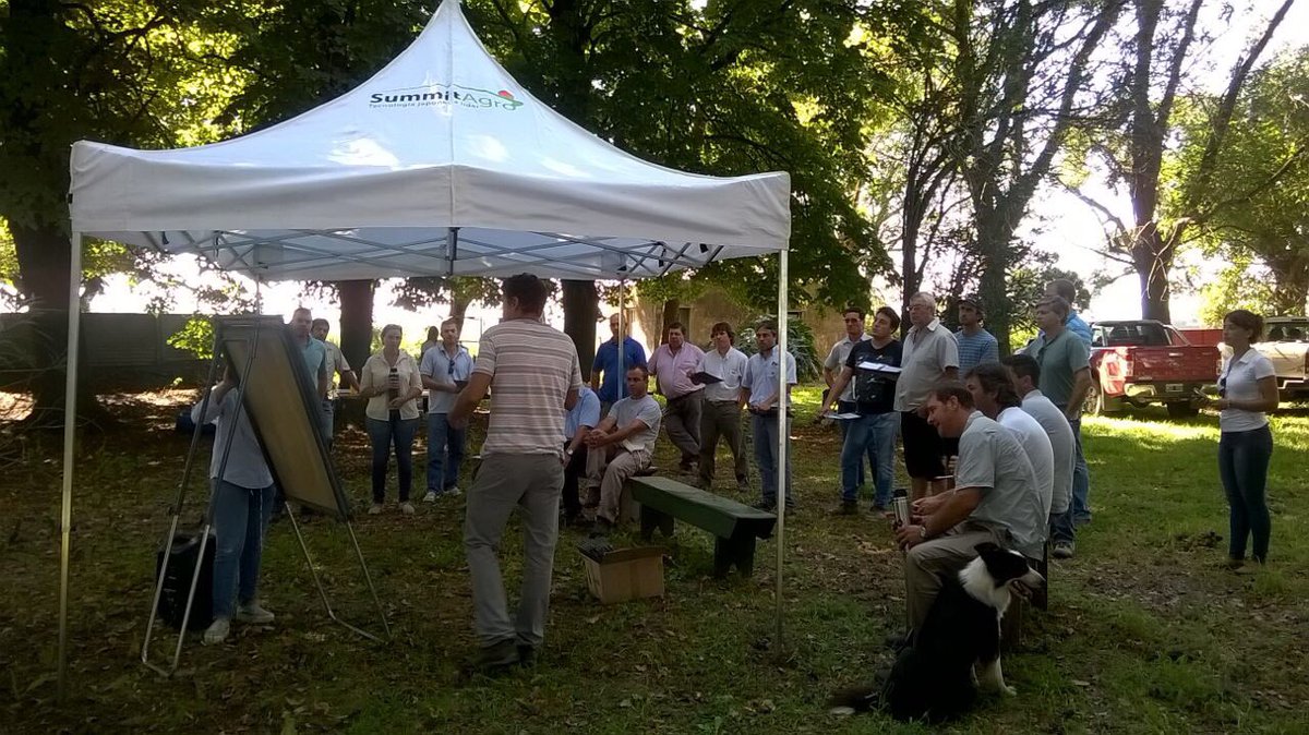 SummitAgroAr's tweet photo. ¿Qué hicimos hoy? Salimos al campo a recorrer híbridos de #maíz tratados con #RaceRM , junto a @movimiento_crea Ascensión y @lucrecouretot https://t.co/eDo1zEMsGr