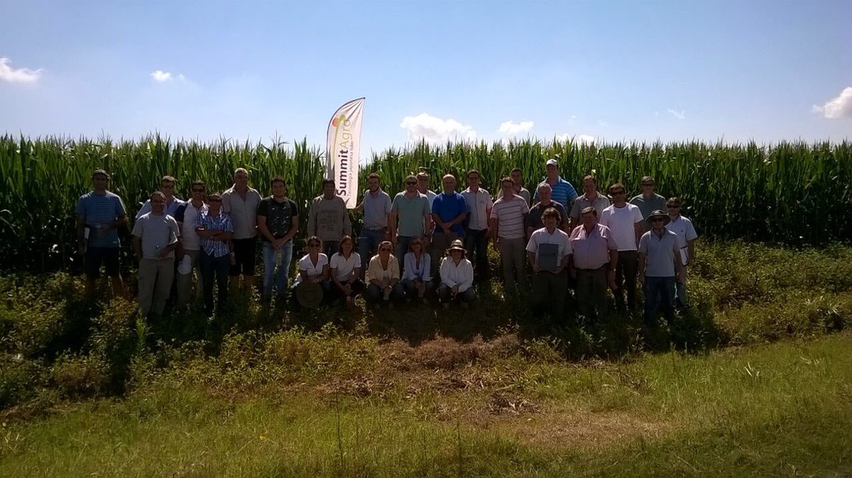 SummitAgroAr's tweet photo. ¿Qué hicimos hoy? Salimos al campo a recorrer híbridos de #maíz tratados con #RaceRM , junto a @movimiento_crea Ascensión y @lucrecouretot https://t.co/eDo1zEMsGr