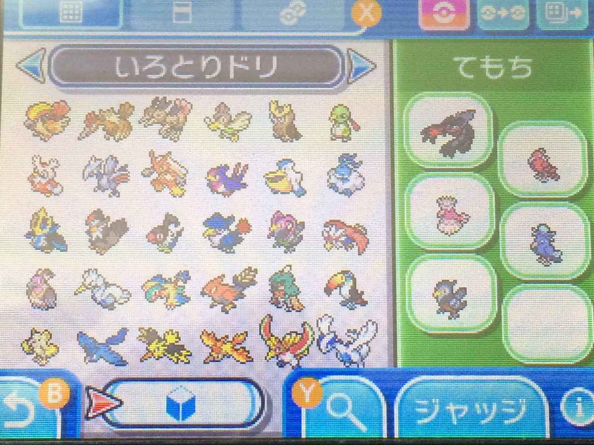 ソラオ 色鳥統一 鳥ポケモン色違いコンプ みんなかっこいい