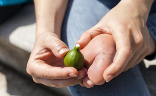 plantasmedicina's tweet image. Eliminar las verrugas naturalmente plantasmedicinales.net/remedios-natur…