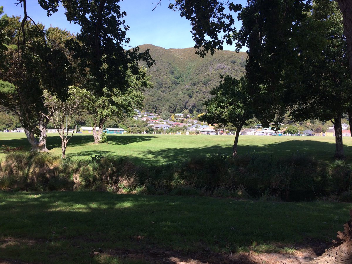 auchmill's tweet image. Caught the last walk &amp;amp; screening of "Wai-rua, Wairua" by the Waiwhetu stream for @CommonGroundPAF