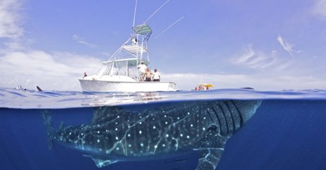 AwwThingsDaily's tweet photo. These INSANELY timed photos will make your jaws-drop! https://t.co/ZVVpsPudy3 https://t.co/UPumSRyYvd