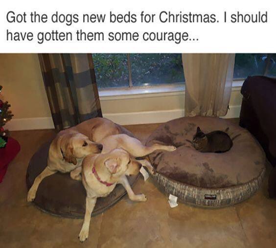 AnchorTrec's tweet image. Nite friends ...