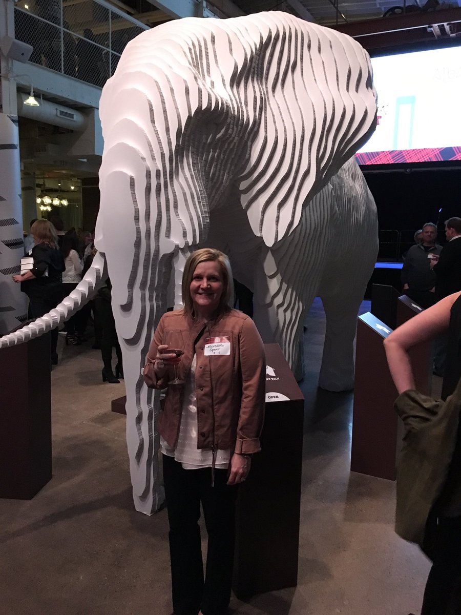 mspeier's tweet photo. At @theshowmn #theshow Nice work on the elephant in the room @pdinstore https://t.co/2stx9ZKYYM
