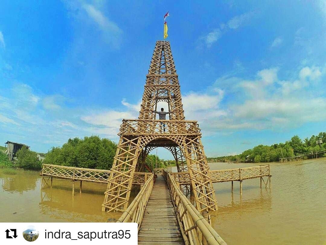 YogyakartaCity's tweet photo. piknik ke mana minggu ini ? sudah ke sini ? :)
Hutan Mangrove, Pasir Kadilangu, Kulonprogo, Yogyakarta https://t.co/DW1EGHhnhj