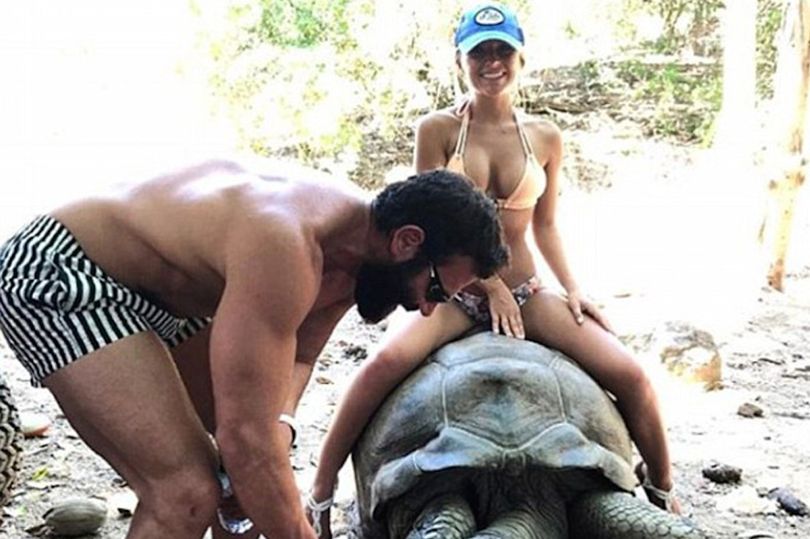 Appy Geek tweet media