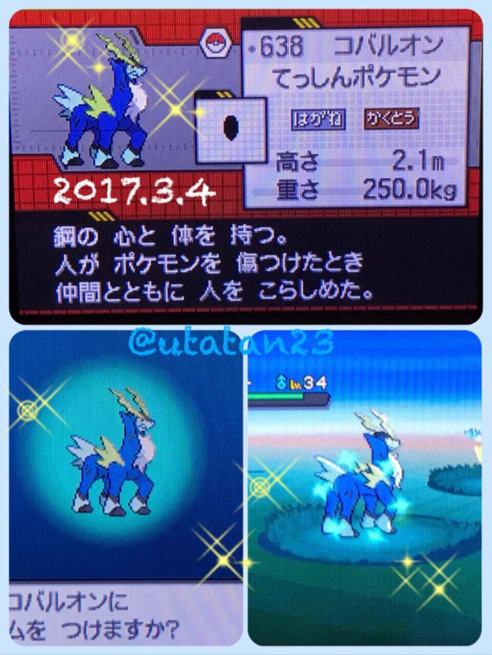 琥月 リセット団幹部 Bw2にて固定リセット 色違いコバルオン かかった期間は2か月ちょっと W 三 W 三 W クイボ似合いますね 固定リセット T Co Yvqgigoeps Twitter