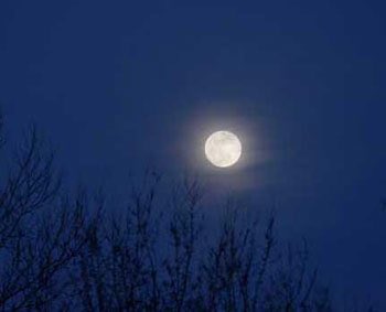 NatHawth1804's tweet photo. Moonlight is a sculpture #bestquotes https://t.co/BYX7ssbNfE