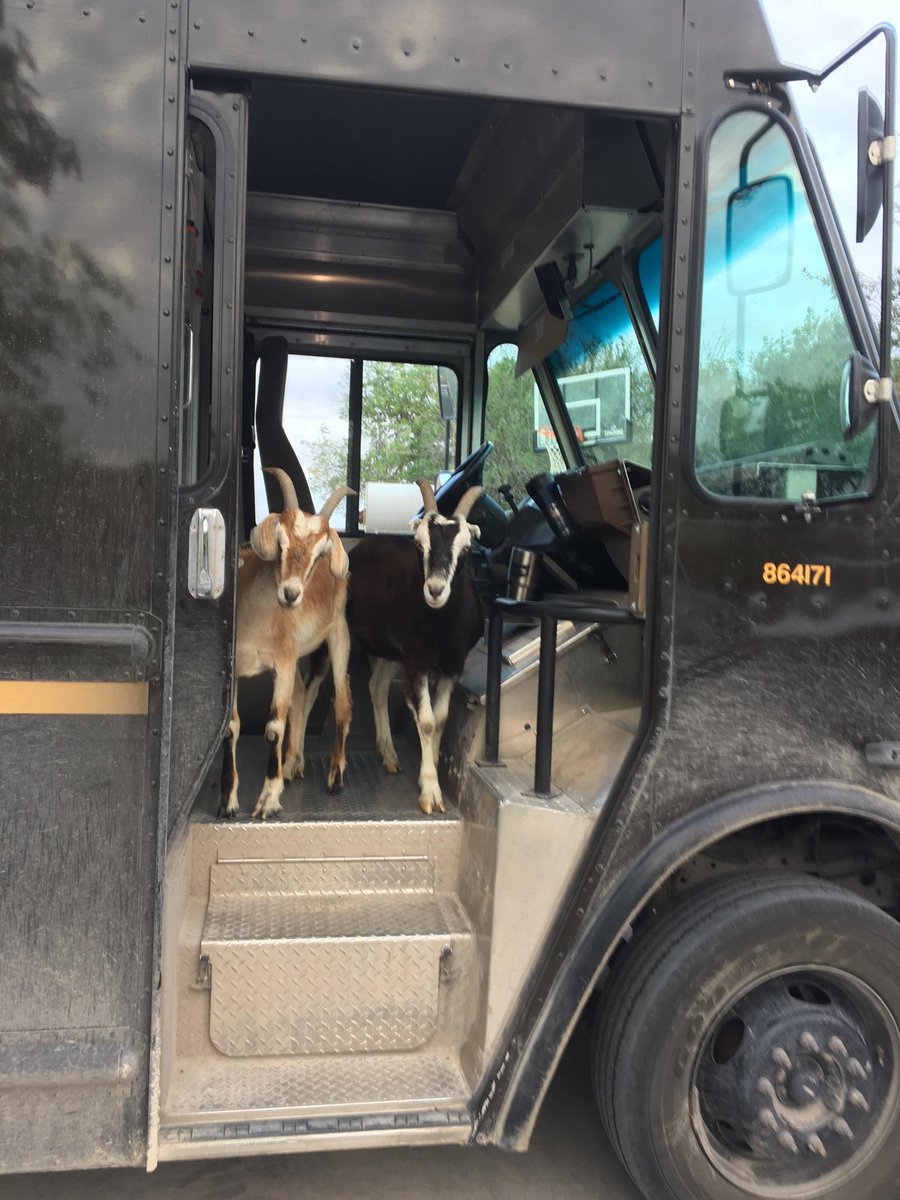 TXHARBWNUpSAFE1's tweet photo. Mike had a "little help" today. Rural route problems. https://t.co/rr0REuwy3b