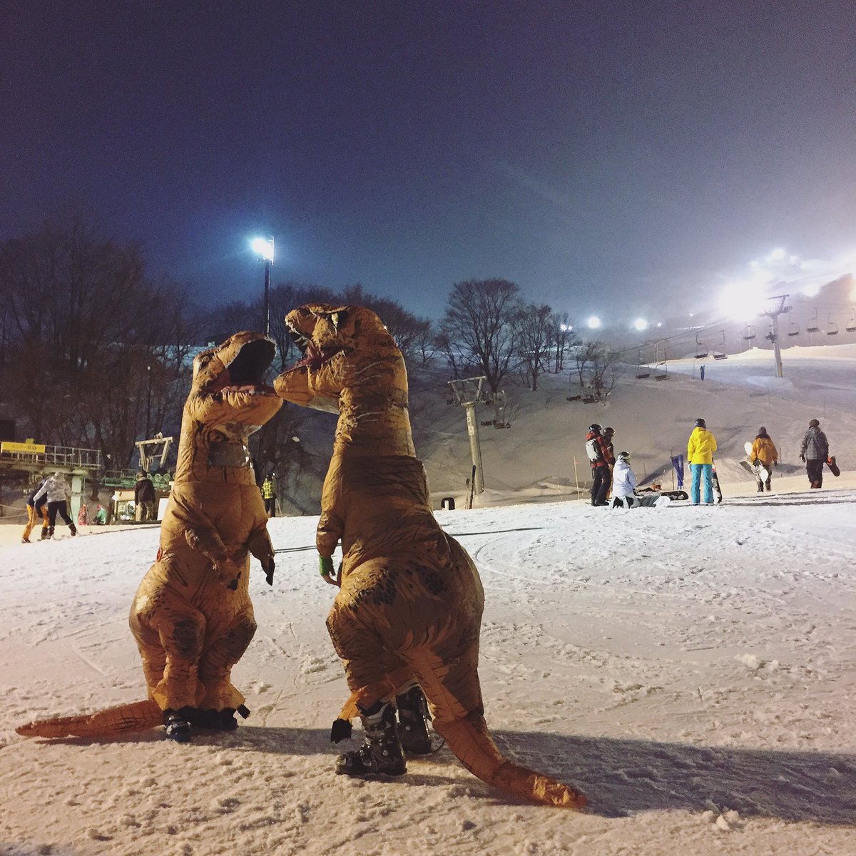 When couples fight in public... ⛷⛷ #Niseko #dinosaur
