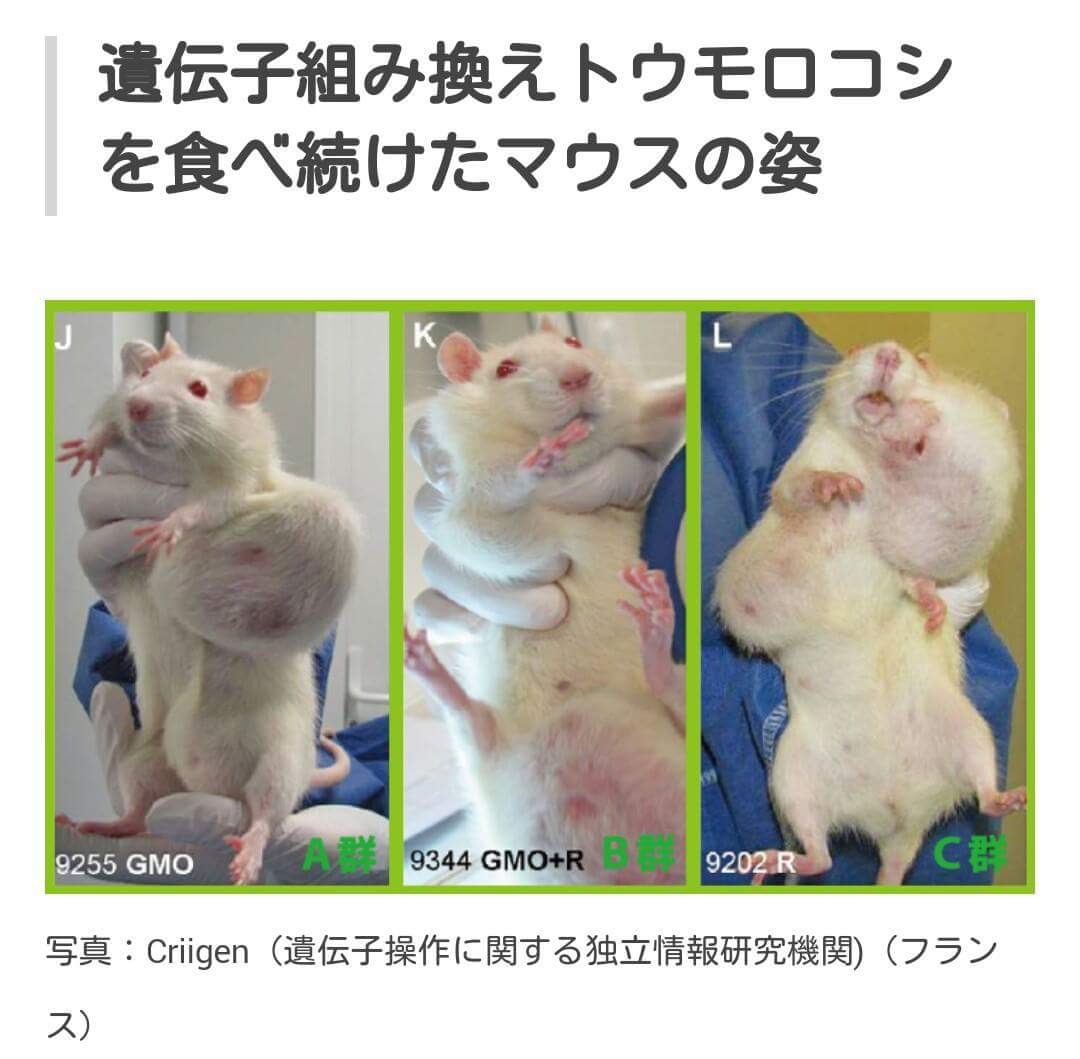 反米中韓 保守 Na Twitterze 遺伝子組み換え 動物実験反対 反モンサント Tpp反対 味の素 Meiji ヤマザキ ロッテ Kirin コカ コーラ 不自然食品 健康被害 障害者 奇形 自閉症 原因 反米中韓 保守 Na Twitterze 遺伝子組み換え 動物実験反対 反モンサント Tpp反対 味の素 Meiji ヤマザキ ロッテ Kirin コカ コーラ 不自然食品 健康被害 障害者 奇形 自閉症 原因