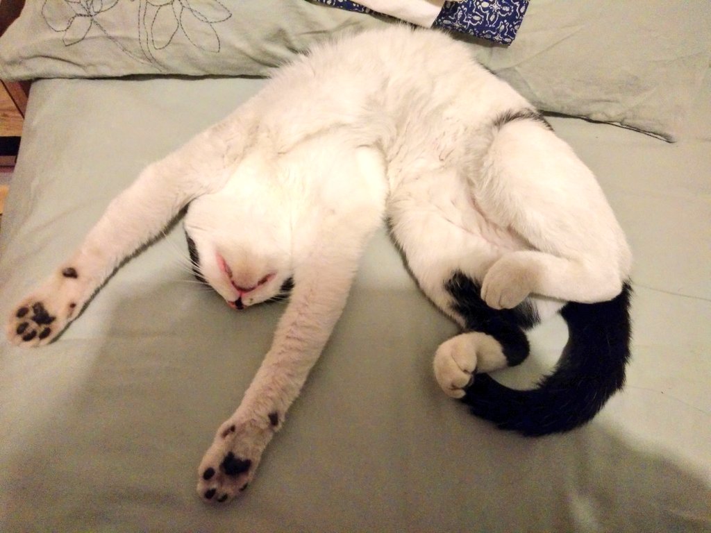 Es viernes y el cuerpo lo sabe...