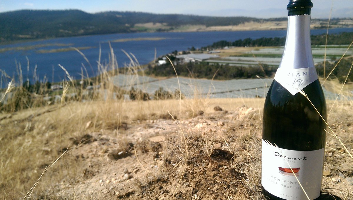 The view above <a href="/DerwentEstate/">Derwent Estate Wines</a> ....cc <a href="/WineTasmania/">Ｗｉｎｅ　Ｔａｓｍａｎｉａ</a> #sparkling #tassie