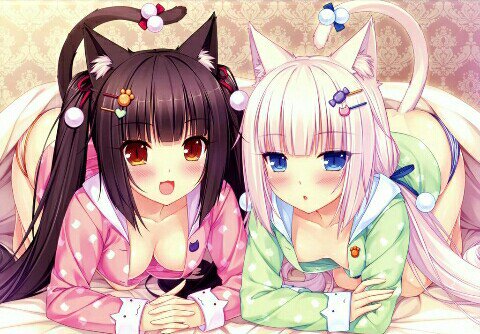 ♥Mi hermana y yo ya estamos listas para dormir, espero no pasemos mucho frio, nya♥