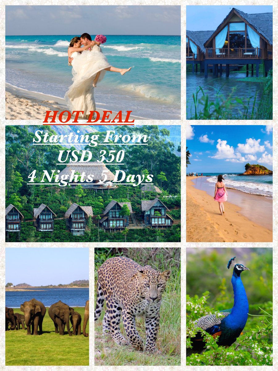 classytours's tweet image. Unbelievable value for money tours from ClassyTours SriLanka! Experience the best Sri Lanka has to offer. Hurry ! Offer valid till end March