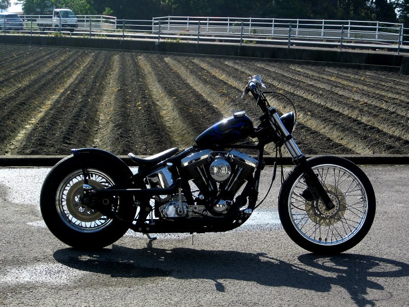 HellKustom's tweet photo. Harley Davidson By Nuts Custom Cycles
More pics here:
https://t.co/Eu5JkDEyEk https://t.co/K9hN8KX4BJ