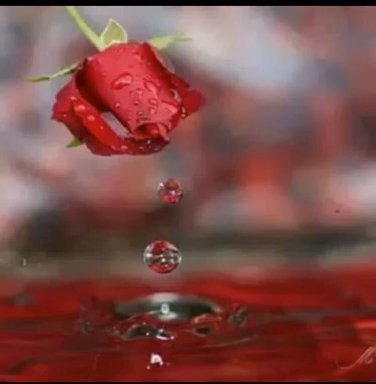 ོr

يالله زي ماخلقت له حب 
عظيم 
بقلبي اخلق لنا عمر 
طويل نعيشه 
مع بعض ❤".