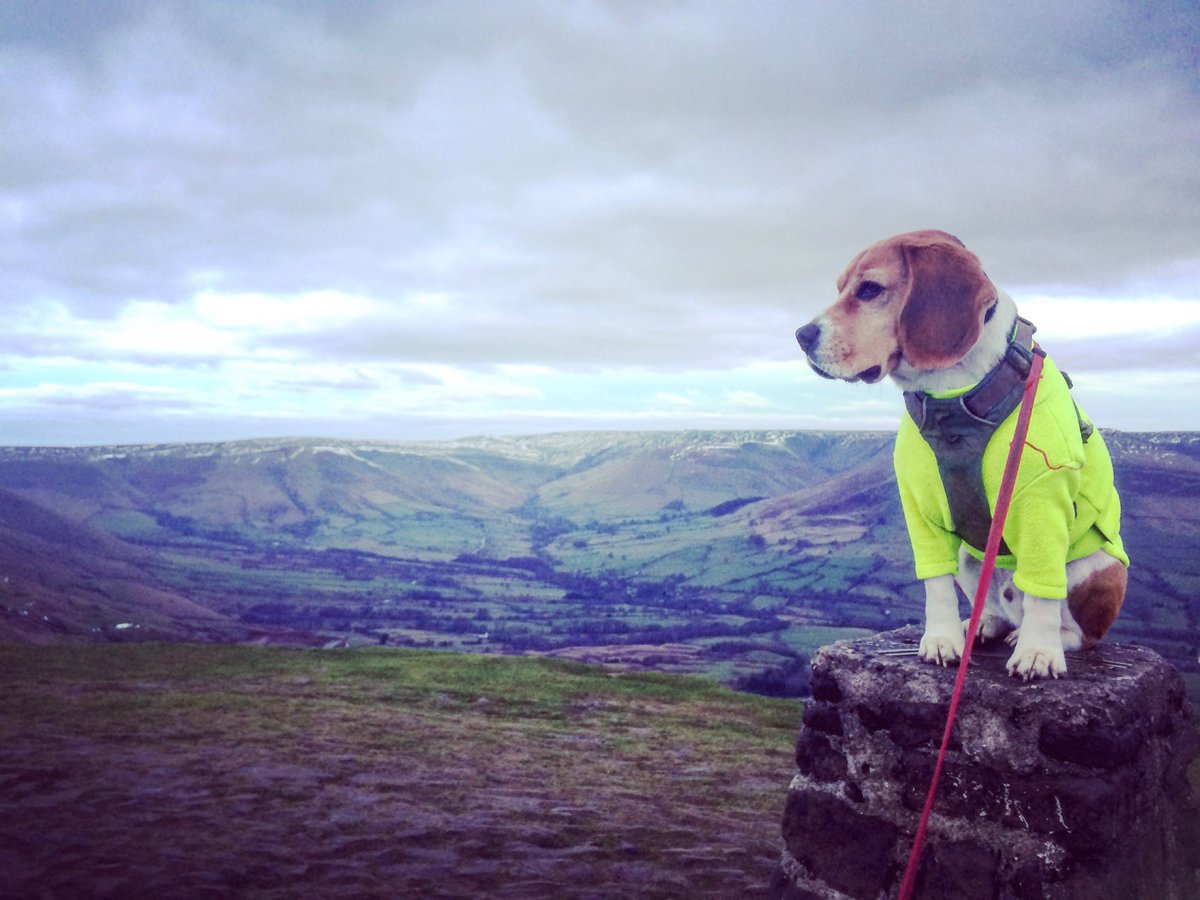 Up on a chilly Mam Tor waiting for <a href="/MarcusScotney/">Marcus Scotney</a> <a href="/Fellrunninbrief/">Fell Running Briefs</a> and rest of High Peak Marathoners #hpm