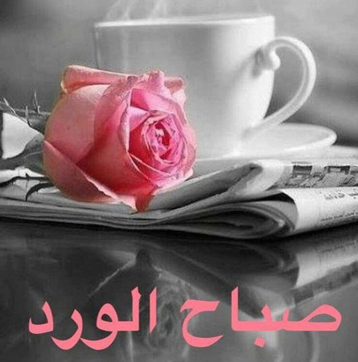 Kr__Q8's tweet photo. دعوة صباحيهَ .. 🌸الله يبعد عني و عنكم موآجع الدنيآ و يرزقنآ السعآدة من سآبع سمآء💭🎼
صبــآإح آإلخيــر🎼🌹 https://t.co/ewbyrhvwsn