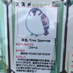 悪意に満ちたイラストと文章!スズメの説明書きに飼育員さんの恨みが滲み出てる!