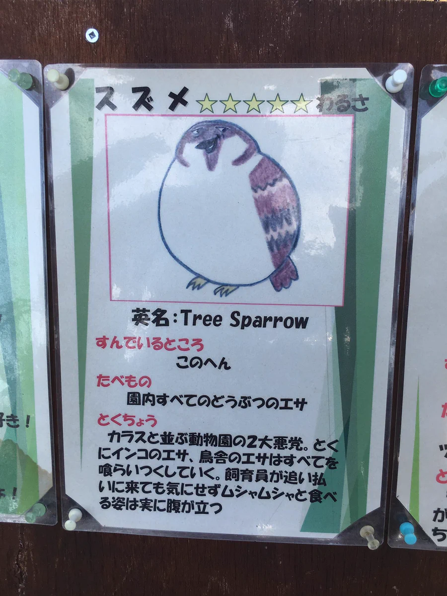 悪意に満ちたイラストと文章wwwスズメの説明書きに飼育員さんの恨みが滲み出てるwww