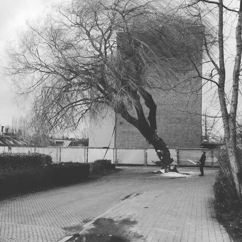 This is the end, my only friend, the end...# boom