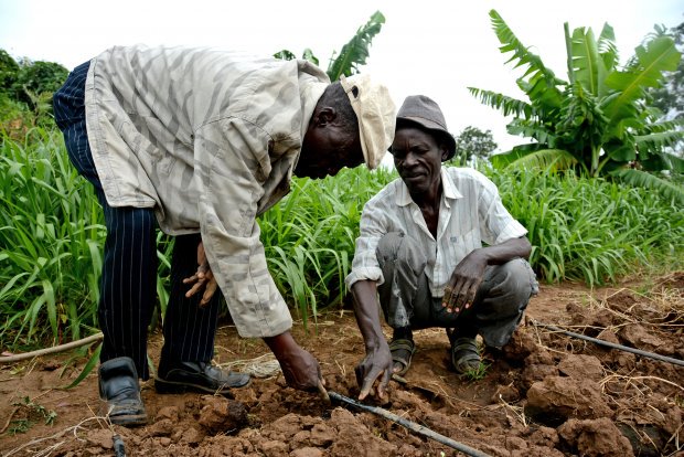 FatumasVoice's tweet image. Getting to the Kenyan farmers and hardworking taxpayers should be the top priority of devolution. #DevolutionInCounties