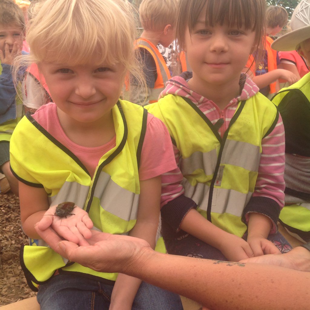 ask your local primary school, pre school or to come to us for an educational visit, fun &amp; learning at the same time