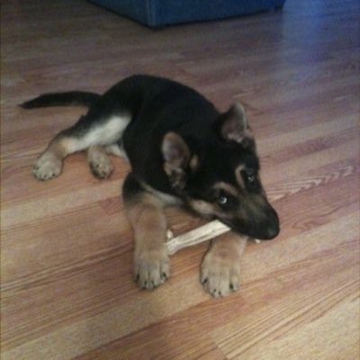 RealMagicYT's tweet image. #NewProfilePic