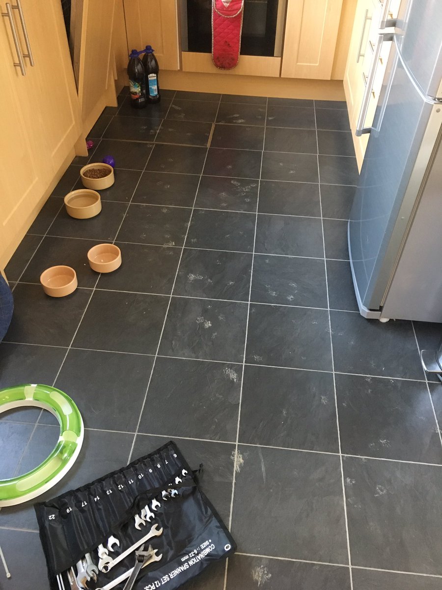 the_only_abi's tweet photo. We're putting a new fence up, it's muddy out there, Ernie can't hide where he's been now... 🤔🙈 #menace #chasingflies https://t.co/JFJnC0gPB9
