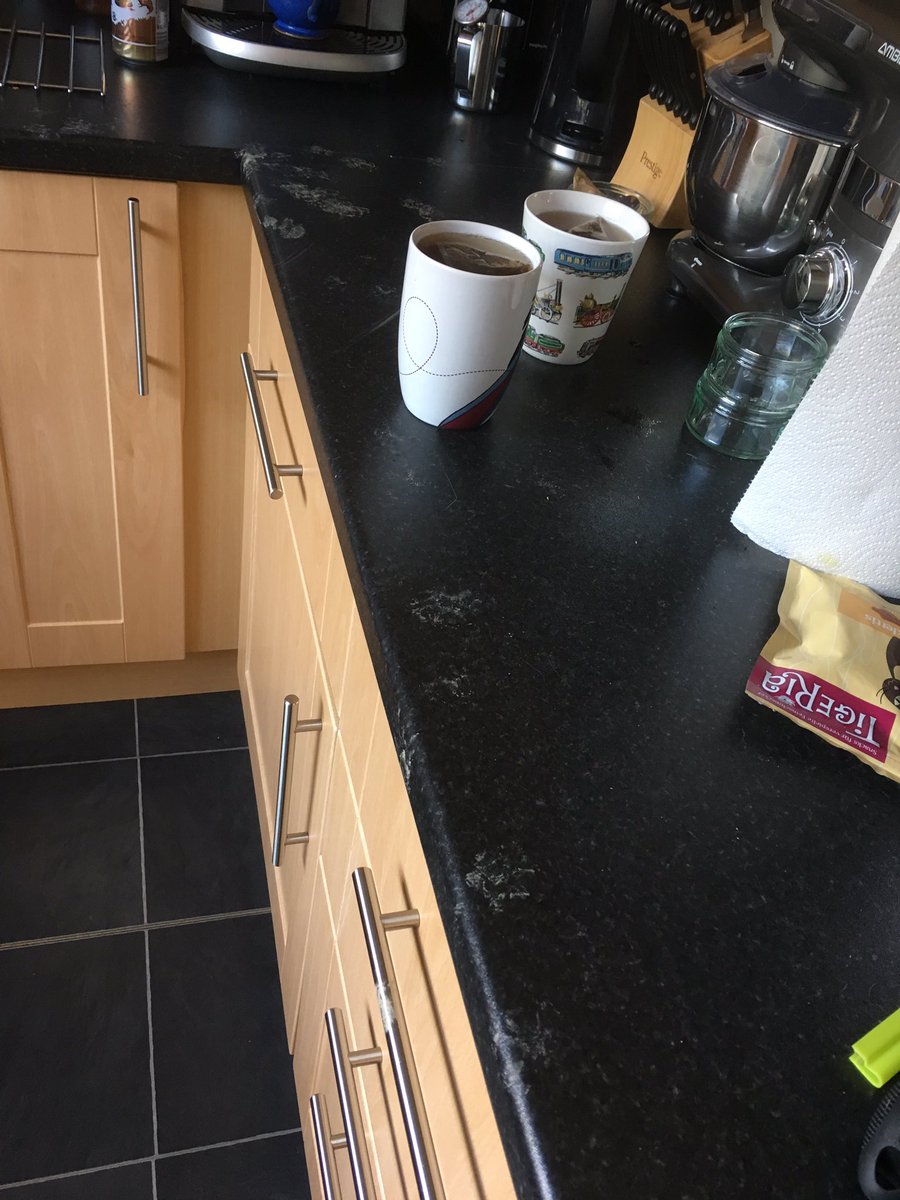 the_only_abi's tweet photo. We're putting a new fence up, it's muddy out there, Ernie can't hide where he's been now... 🤔🙈 #menace #chasingflies https://t.co/JFJnC0gPB9