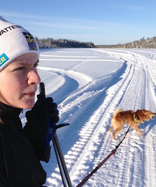 Tornedalslopp's tweet photo. Vårvintern är bästa tiden på året i Tornedalen. Välkommen att åka skidor tillsammans med oss den 26 mars då Tornedalsloppet går av stapeln! https://t.co/myZb5Jy5Xa