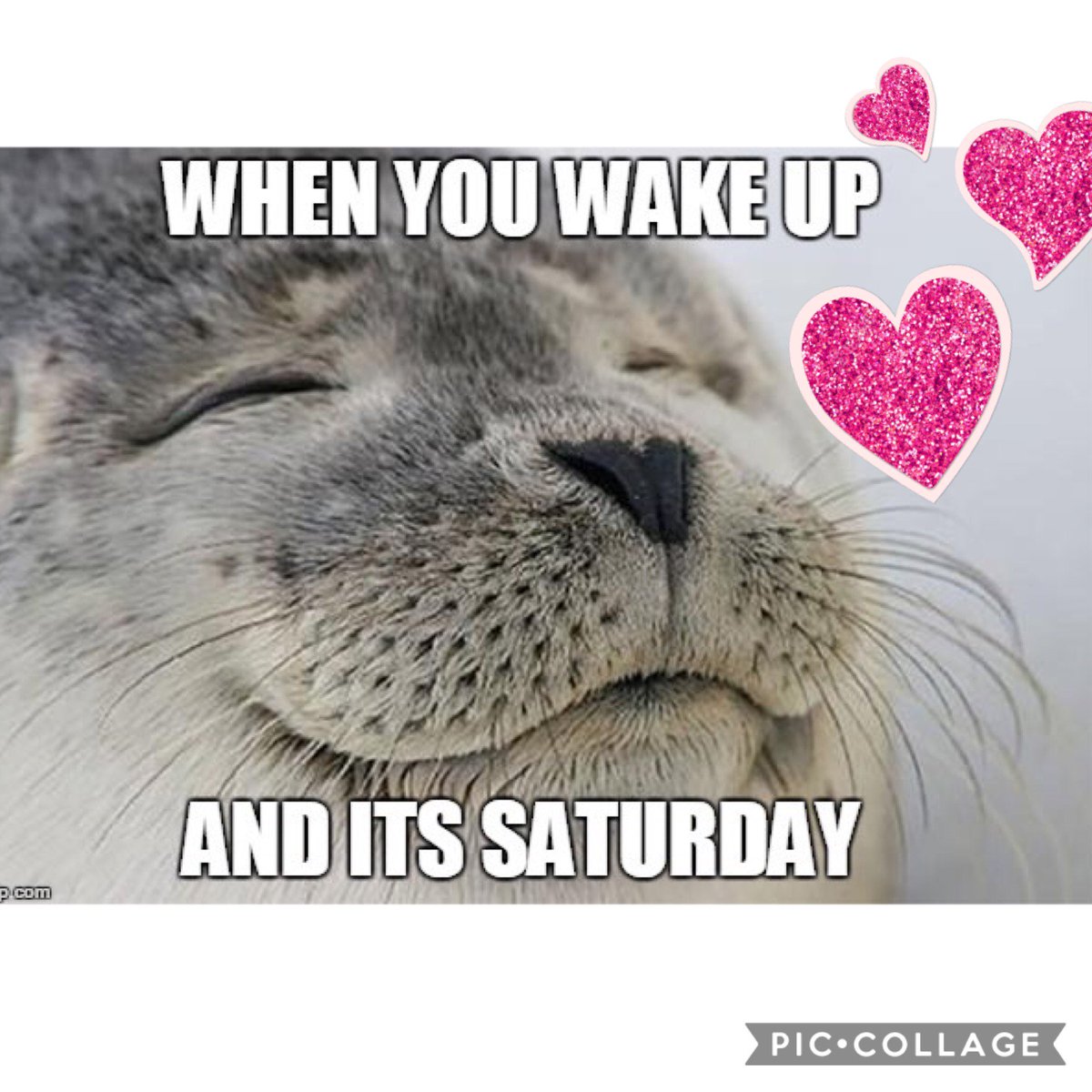 hayleymorrison5's tweet photo. Well hello Saturday!!! 😘 https://t.co/4o6pT1J7rB