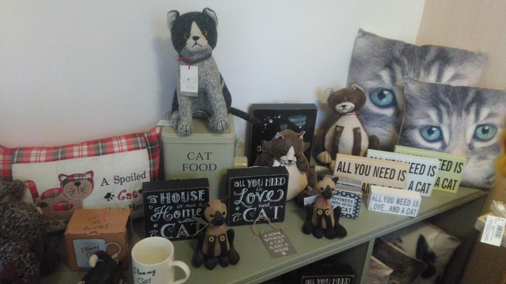Mrs_S_Jones's tweet photo. @misshclinnick @joanne_bridson Doing a spot of dusting and thought of you. #allthingscat #williamsofwestrunton https://t.co/FLUzXcNKhP