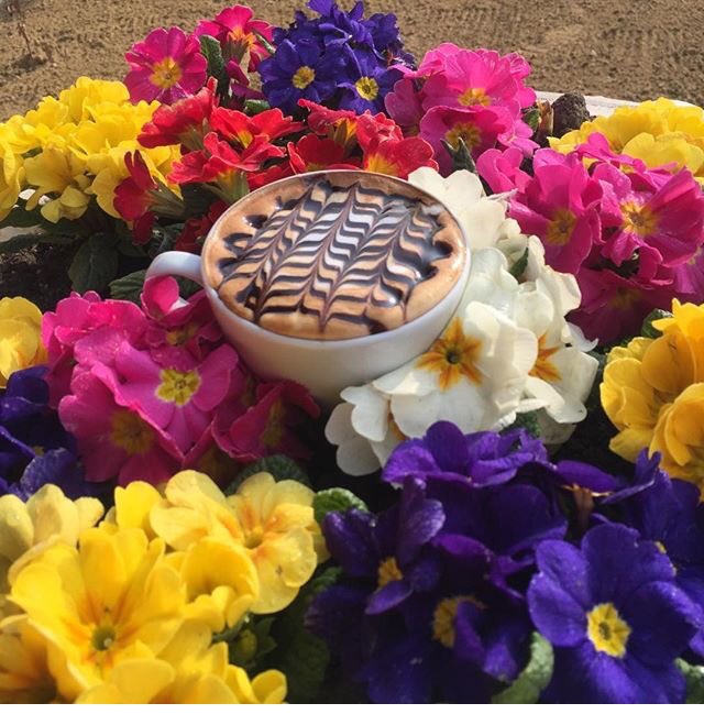 Bahar tadında cumartesiye muhteşem kahve ile eşlik etmeye ne dersiniz? ☕☕🌸🌷🍀