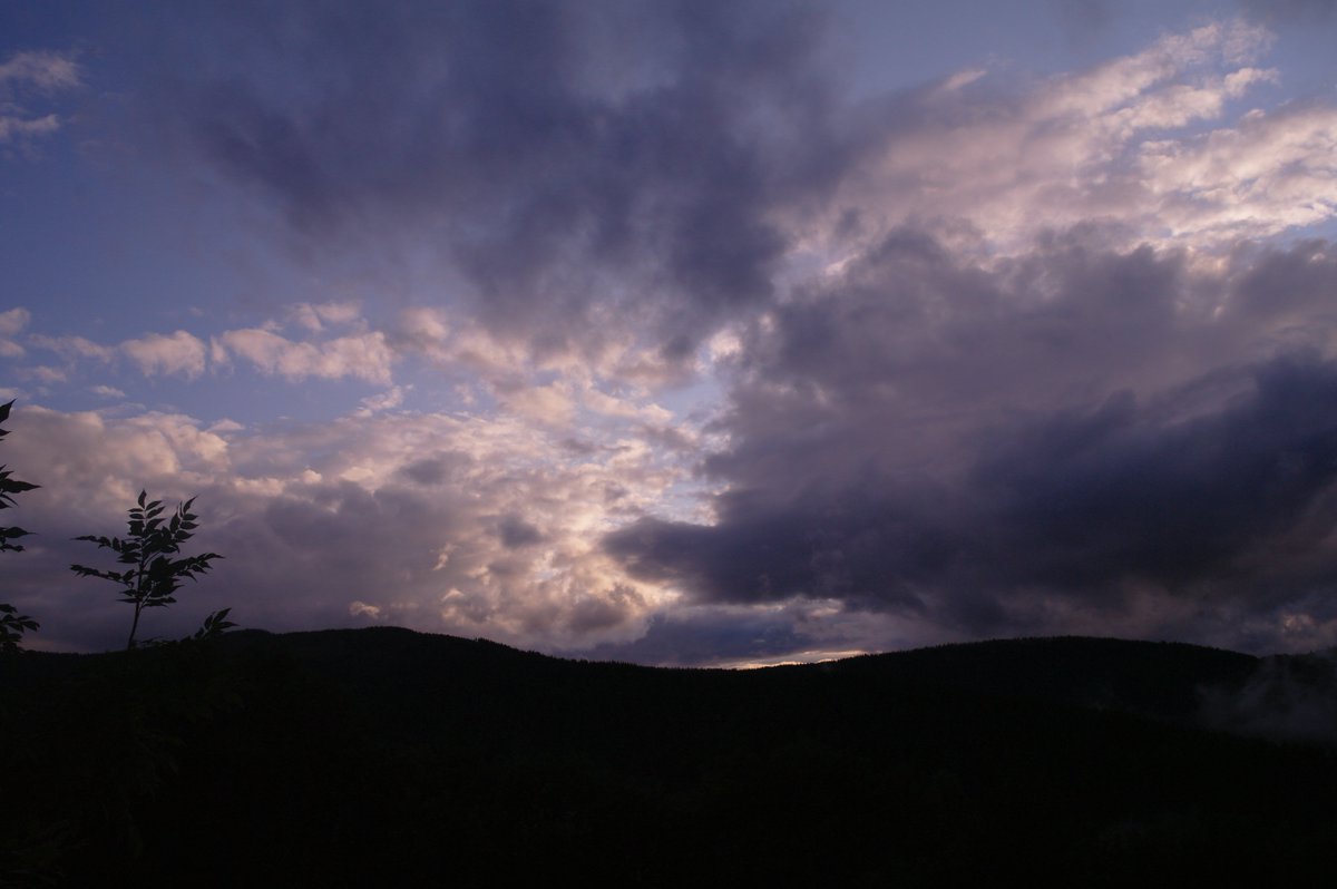 WikingerArt's tweet image. 