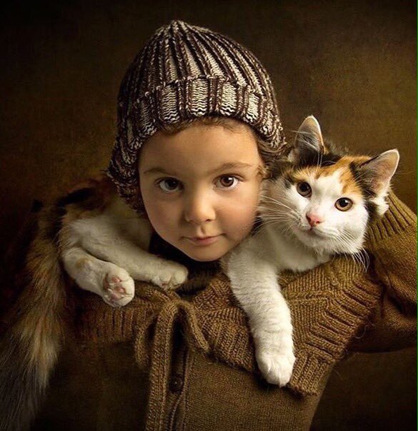maolindas's tweet photo. "#stopensandoche sono un bambina fortunata perché ho il migliore A-Micio che la vita mi possa donare♥"
#adotta animali e felicità♥ https://t.co/iwWZ1QXaJK