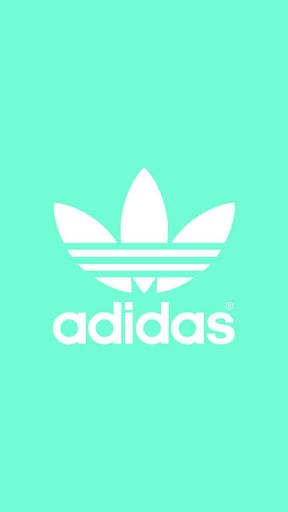 Guide4Planet's tweet image. adidas AG in Herzogenaurach,Bayern,Germany
goo.gl/maps/9rCUzDXBX…

herzo.adidas-group.com
Great !
http://guide4planet.spaceace