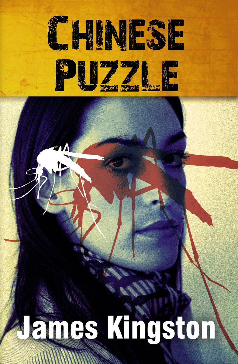 JamesKingston10's tweet photo. Chinese Puzzle updated will be republished in April by 'Smashwords' ISBN9781370521203 https://t.co/FHq9tAYHLa