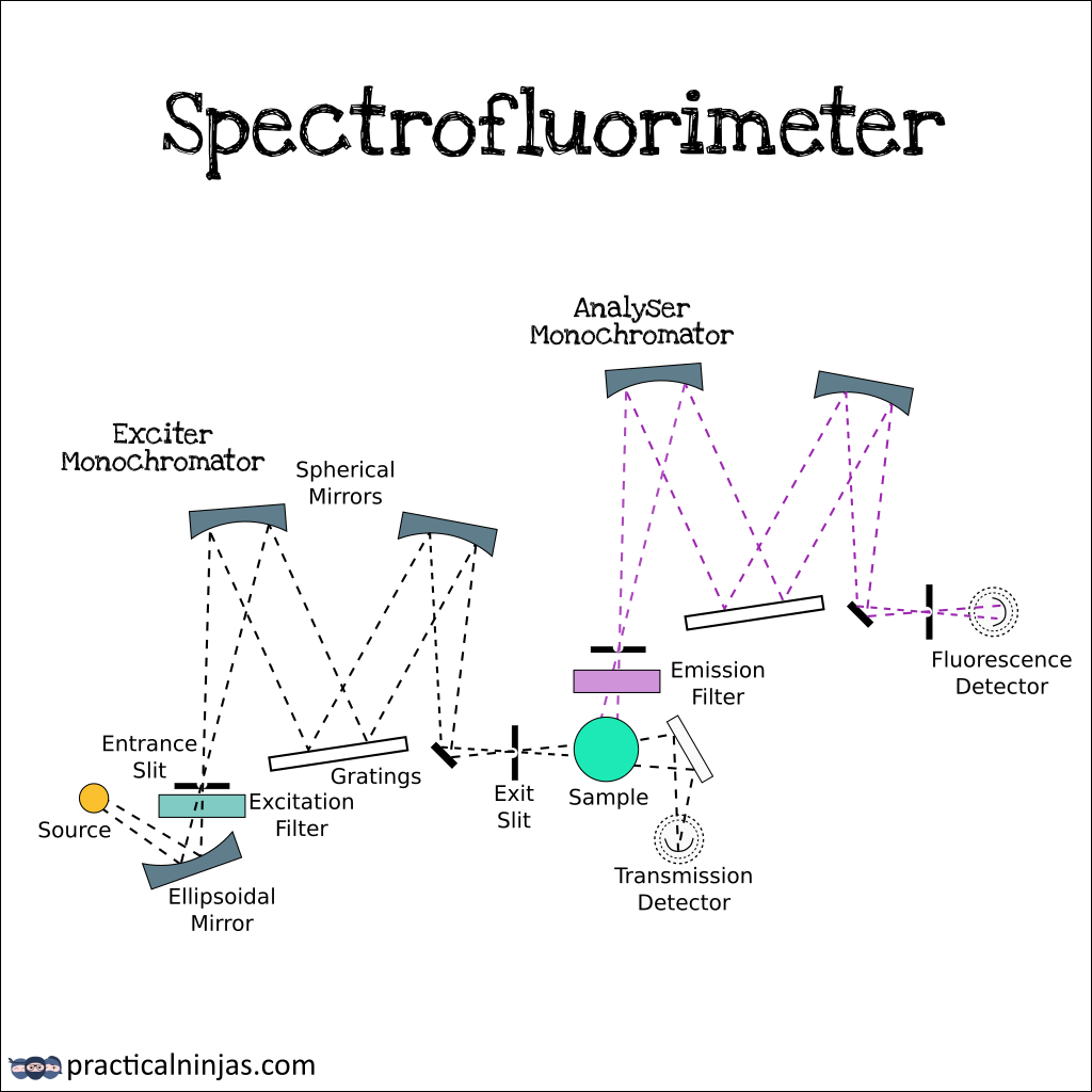 practicalninjas's tweet photo. Highly monochromatic laser source is used to energise and scattering produced is measured by the detector using Raman spectroscopy. https://t.co/tXcY3xEgI2