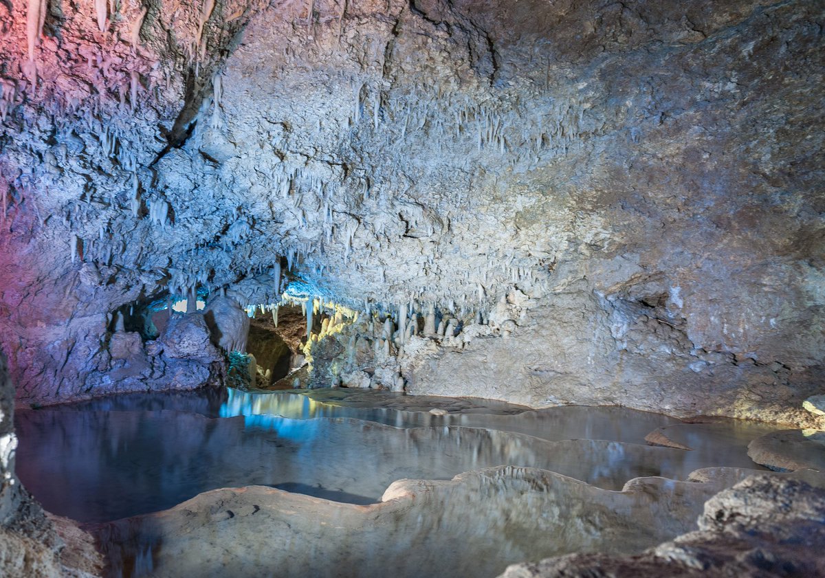 PremierBarbados's tweet photo. Hear streams rushing and see glassy pools that are calm and totally beautiful. Book @ https://t.co/C5r0tN2wzo
#naturecourse #whatawonder https://t.co/dQ1agsRgX7