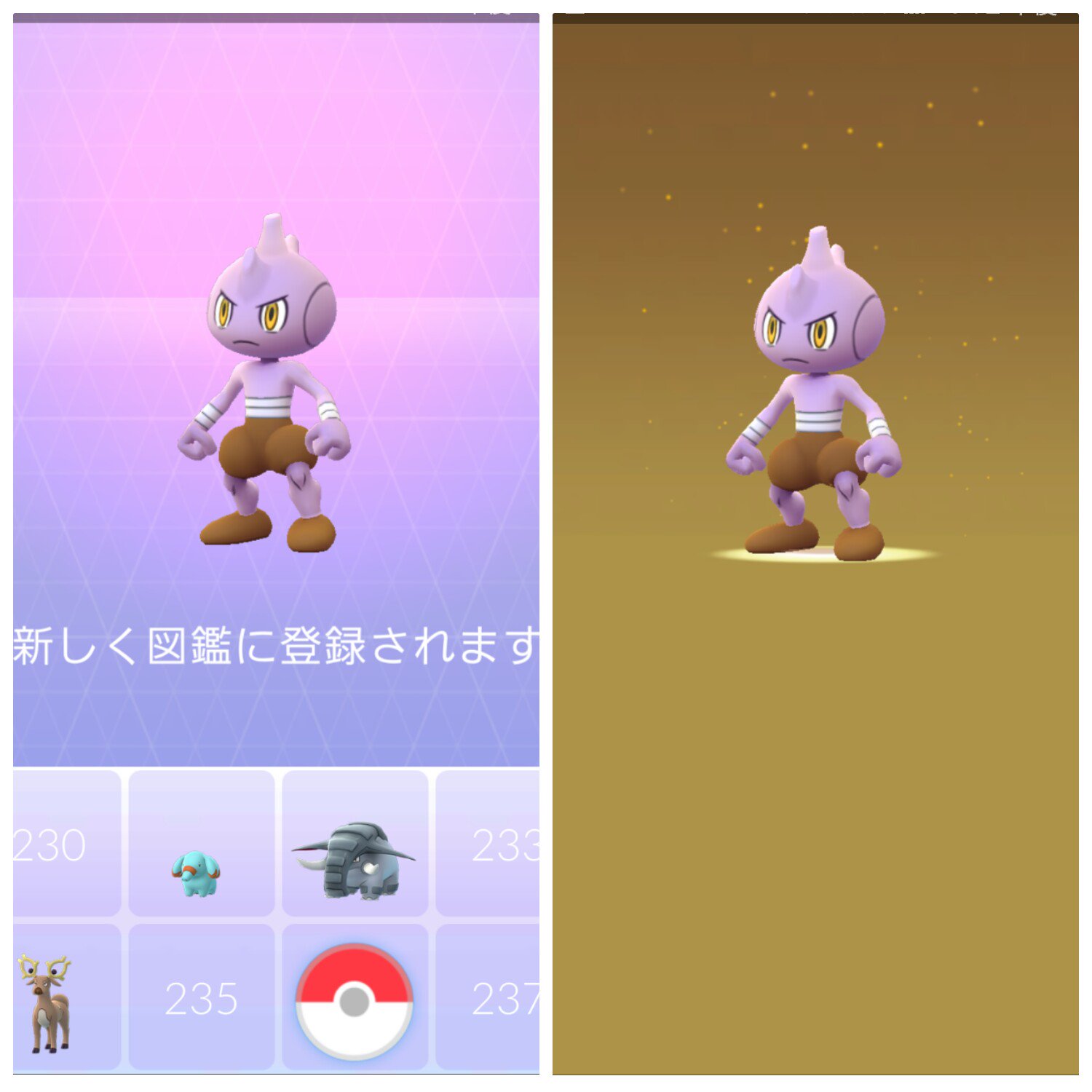 くまこ ポケgo熊本 Pokego Kumako Twitter