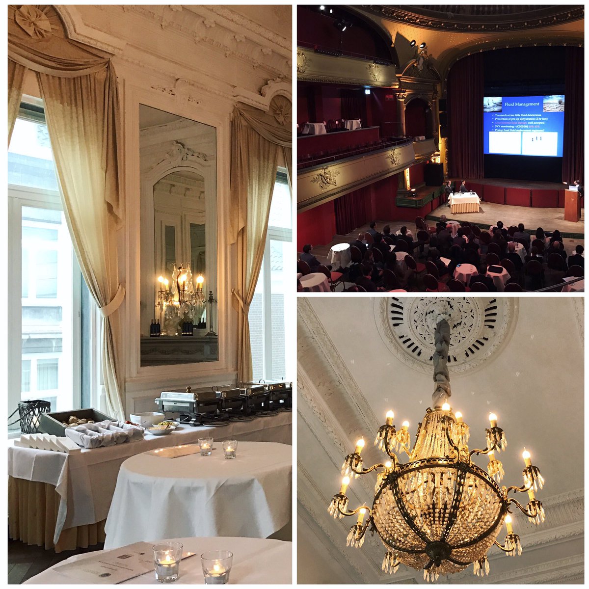 Day 2 of RAMSES 2017! #conference #robotics #microsurgery #cohosting #event #maastricht #mumc